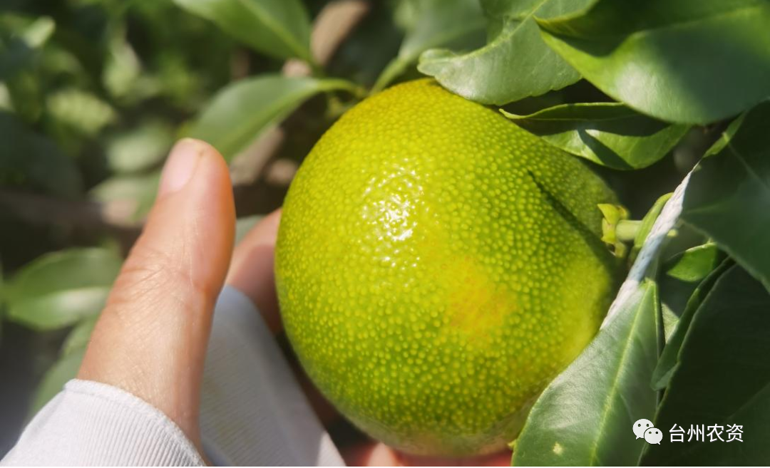 1675666568107119.png 640 (51).png