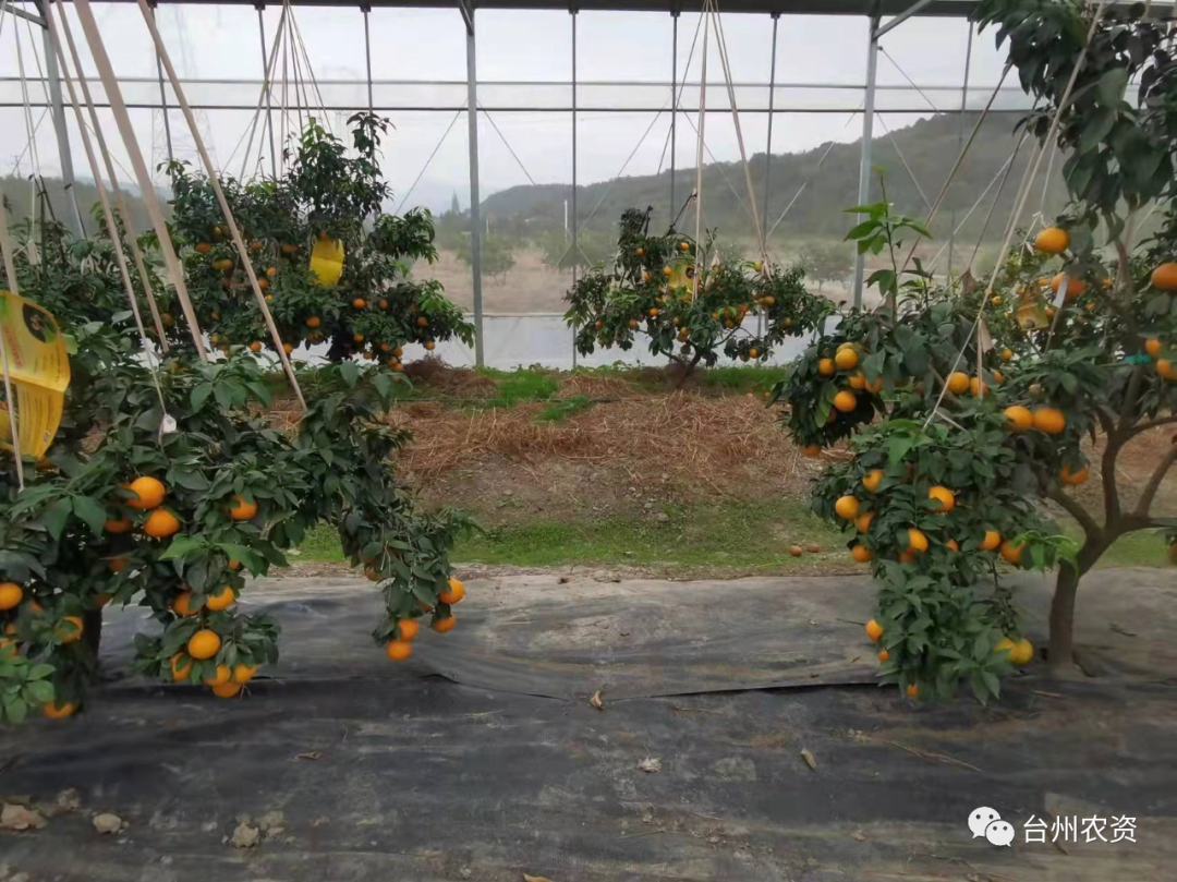 1675666661157582.png 640 (57).png